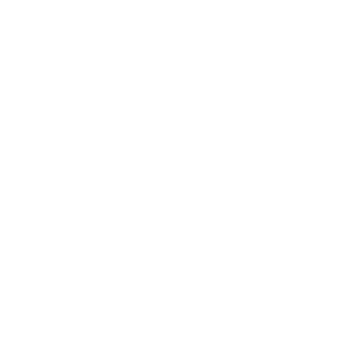 株式会社ジュヴナイル